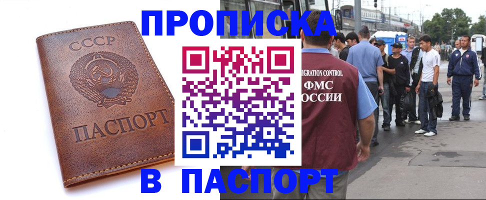 временная регистрация поиск в Всеволожске